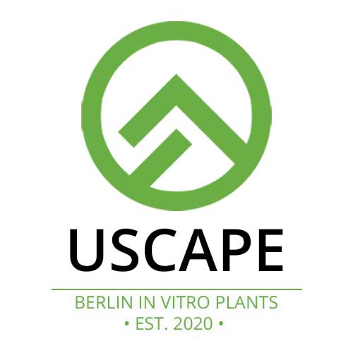 USCAPE Plant Sets